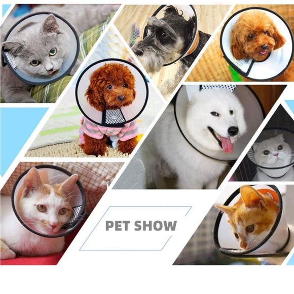 Plastic Pet Recovery Cone for Dogs and Cats XS - Picture 4 of 7